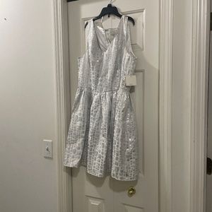 Sleeveless Silver Shimmer Dress